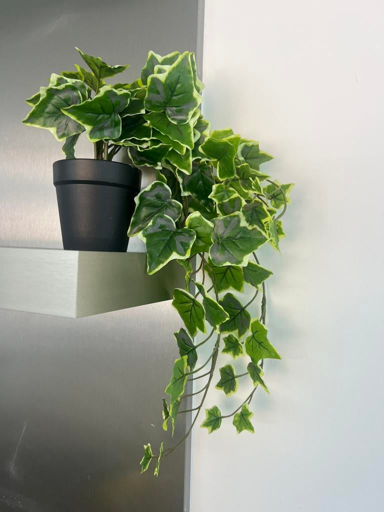 Kunstplant , Hangplant binnen/buiten hangend/Klimop,, Ophalen of Verzenden, Nieuw, Binnen