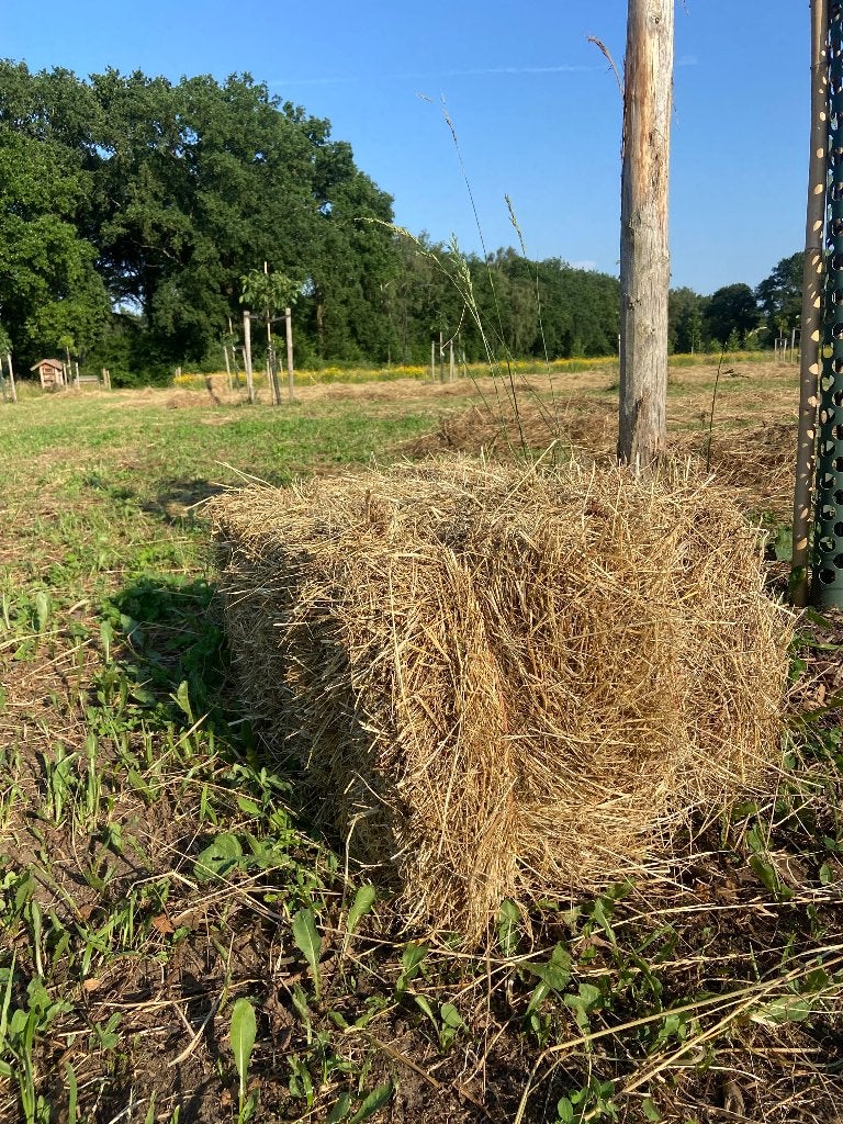 Kleine baaltjes hooi, kruidenrijk, onbemest, Ophalen, Vee