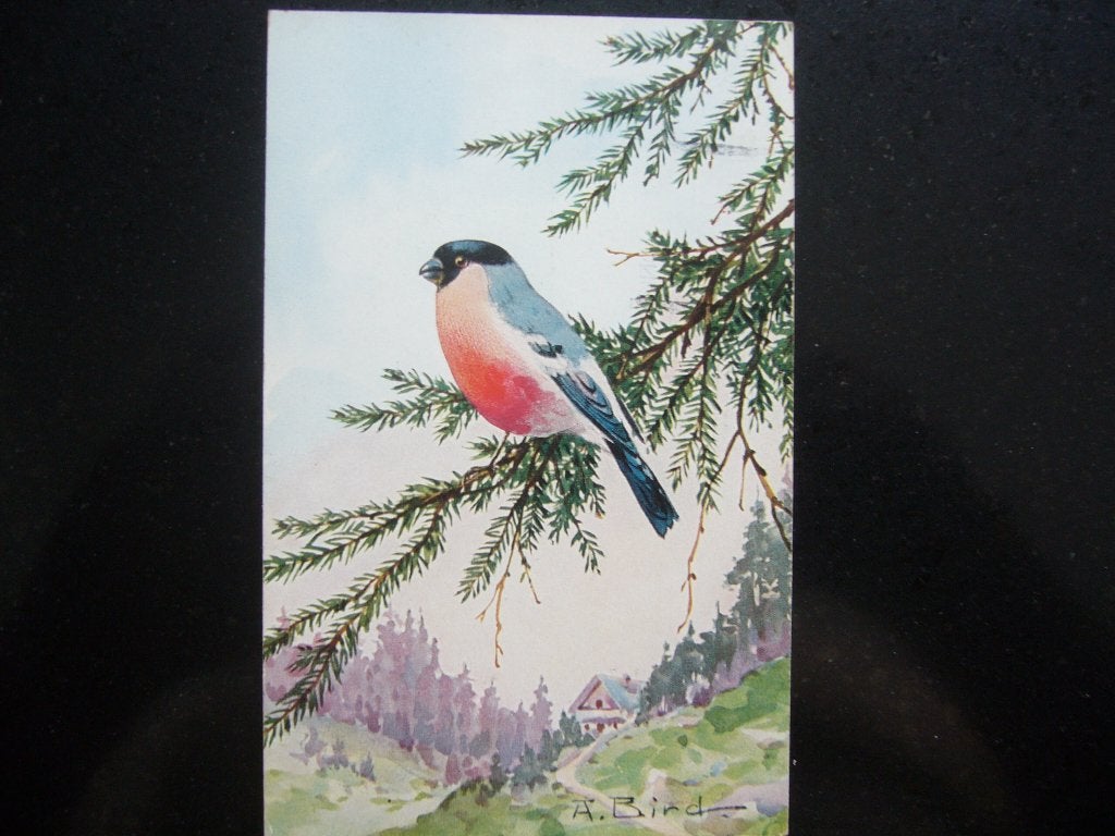 A BIRD  =  1935, Ophalen of Verzenden, 1920 tot 1940, Gelopen, Overige soorten