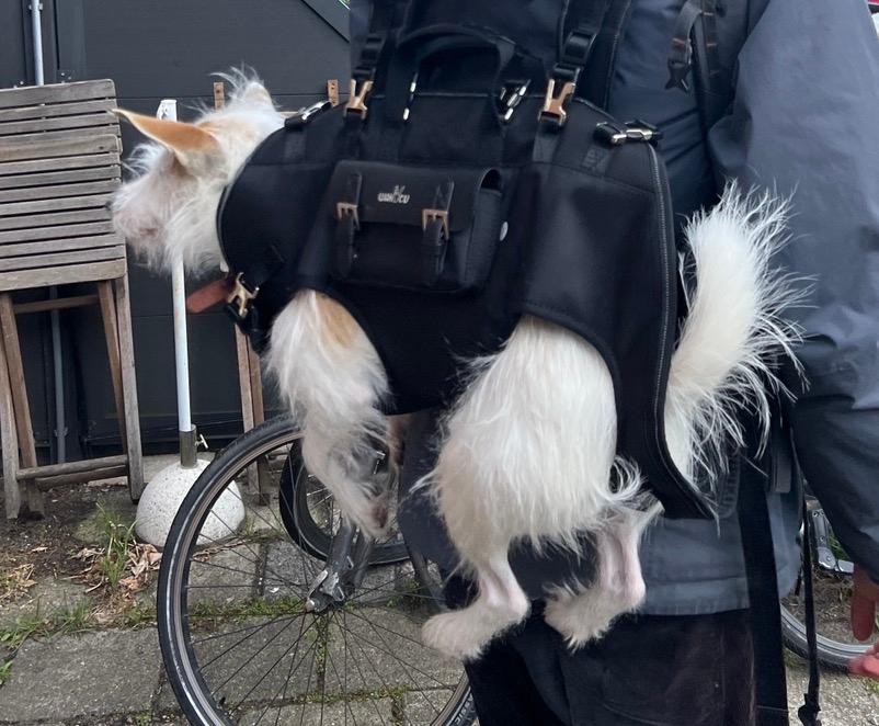 dog bag, Ophalen, Nieuw