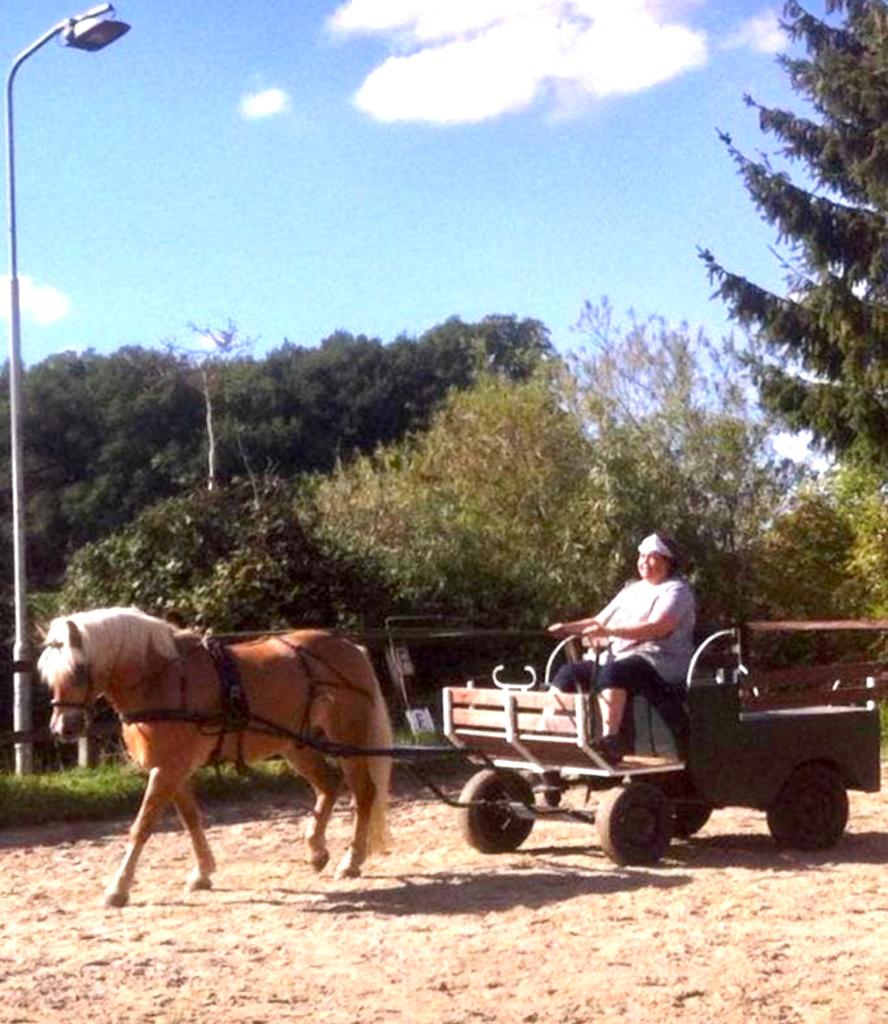 Leuke kar, menwagen, opknapper maar bijna gratis!, Dieren en Toebehoren, Rijtuigen en Koetsen, Gebruikt, Overige typen, Paard of Pony