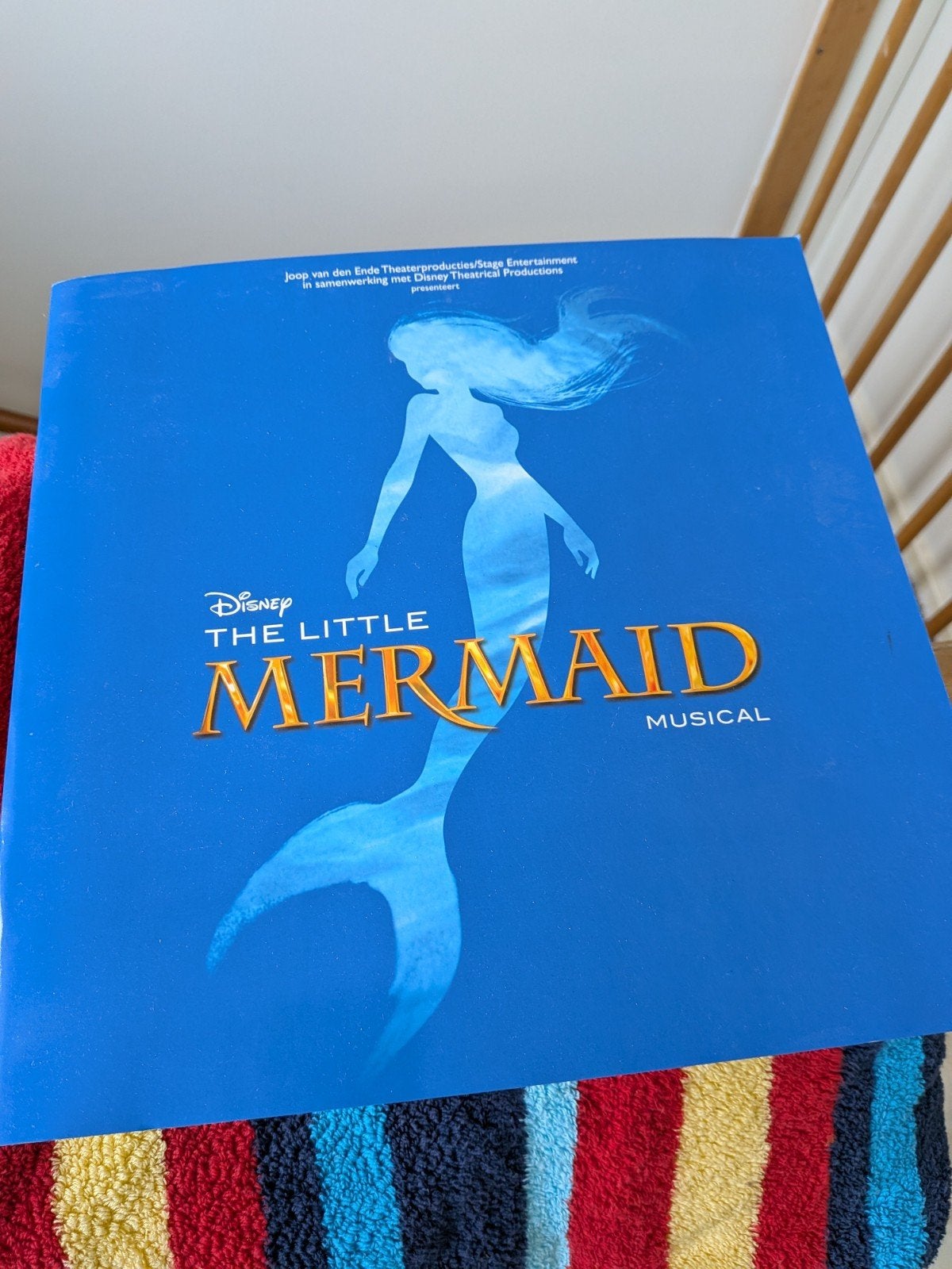 Kleine zeemeermin programma boek, Boeken, Ophalen of Verzenden, Zo goed als nieuw