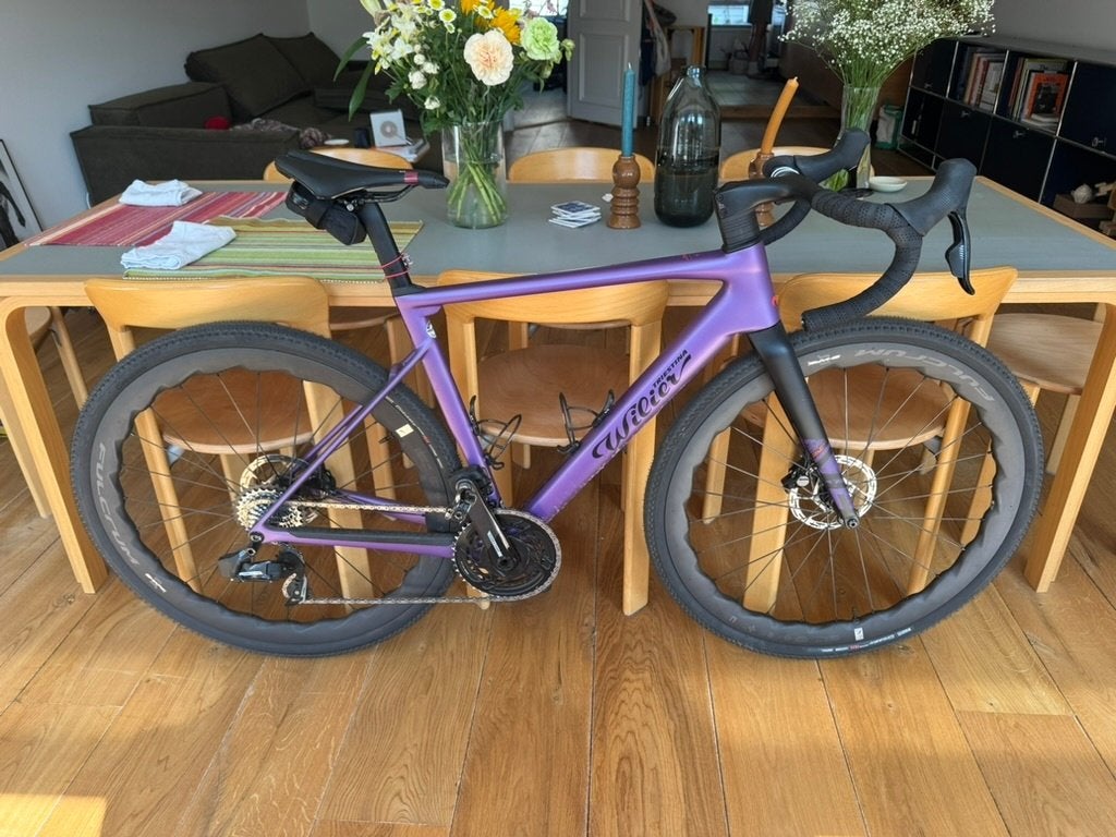 Wilier Rave ID1, Ophalen, Gebruikt, Overige typen