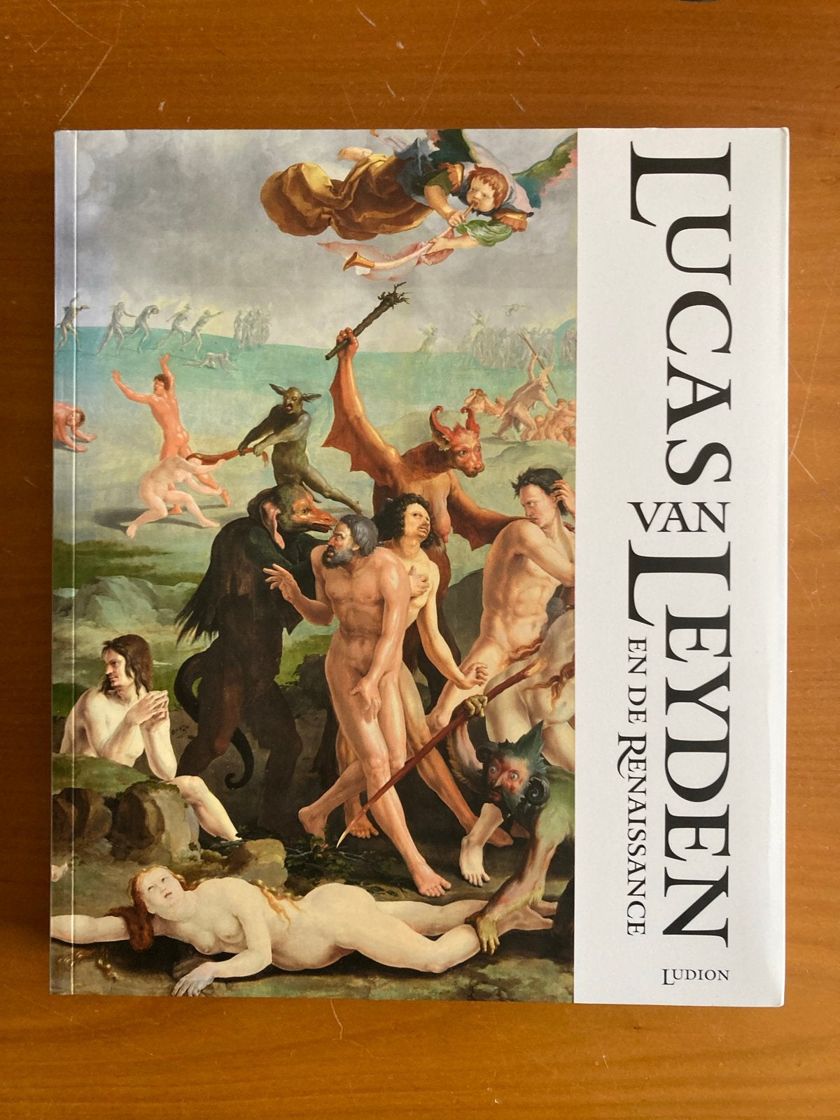 Lucas van Leyden en de Renaissance - Kunstboek, Ophalen of Verzenden, Zo goed als nieuw, Schilder- en Tekenkunst