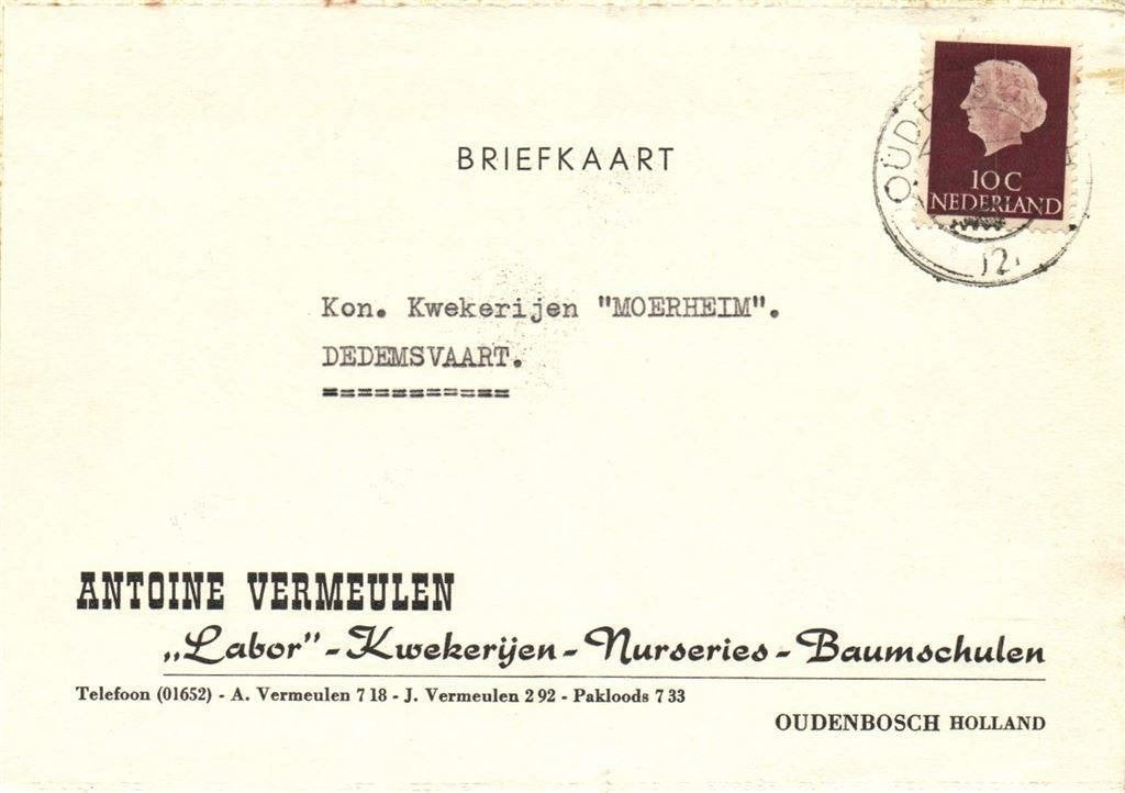 Antoine Vermeulen, Oudenbosch - 02.1964 - briefkaart, Ophalen of Verzenden, Briefkaart