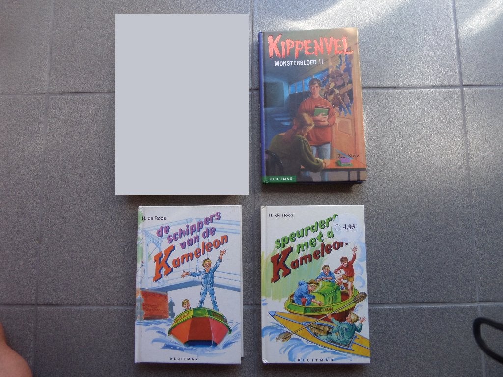 3 boeken (Schippers Kameleon, Kippenvel), Boeken, Ophalen of Verzenden, Gelezen, Fictie algemeen