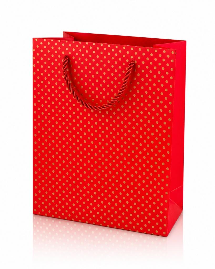 Partij cadeautassen met stippenprint 23x18cm, NHP International, Overige typen, Ophalen of Verzenden, Info@nhp-international.com