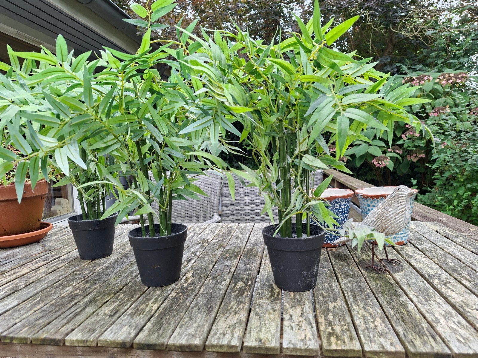 ikea bamboe planten Fejka kunstplanten, Ophalen of Verzenden, Bloeit niet, Overige soorten, Halfschaduw