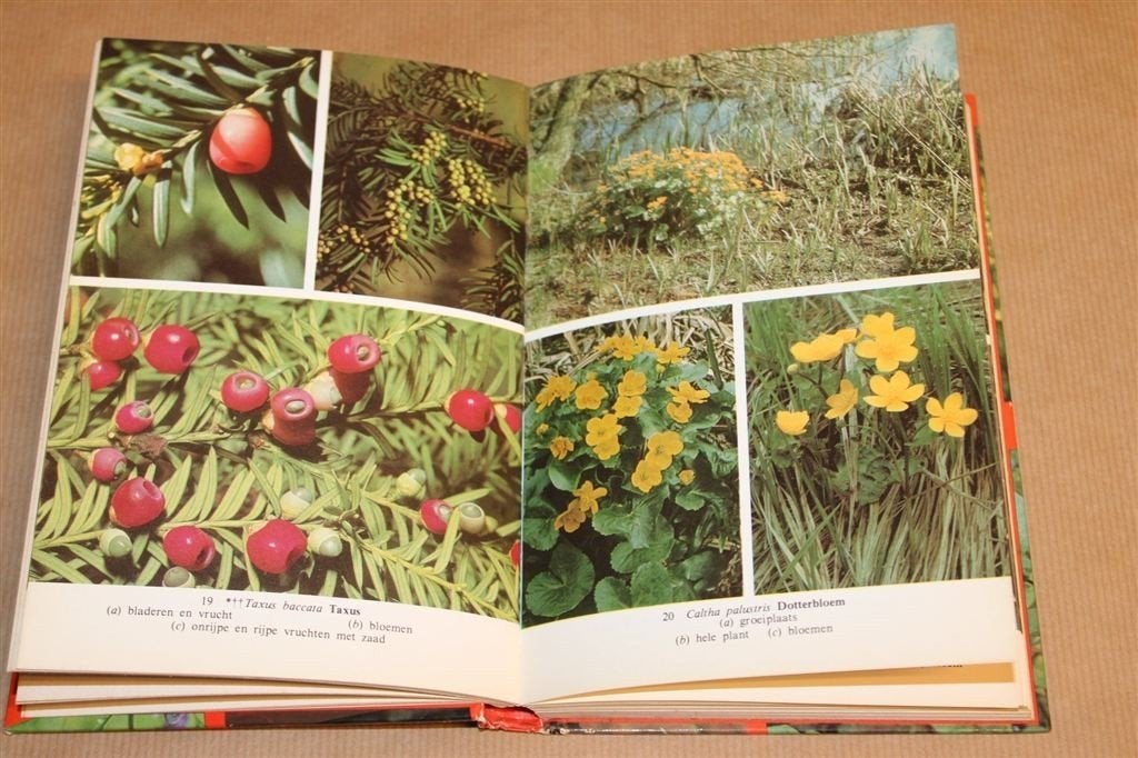 Giftige Planten en Paddestoelen — Rijk Geïllustreerd, Ophalen of Verzenden, Gelezen, Bloemen, Planten en Bomen