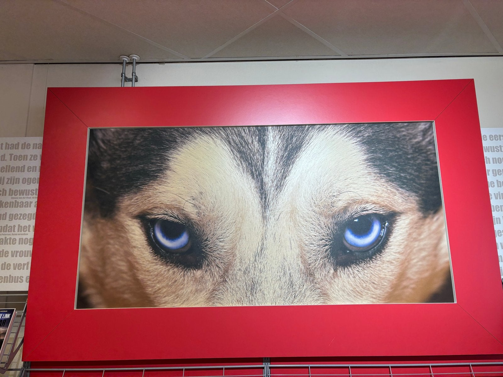 Mooie platen uit de bibliotheek - diverse afbeeldingen, Ophalen, Gebruikt, 125 cm of meer, Foto of Poster