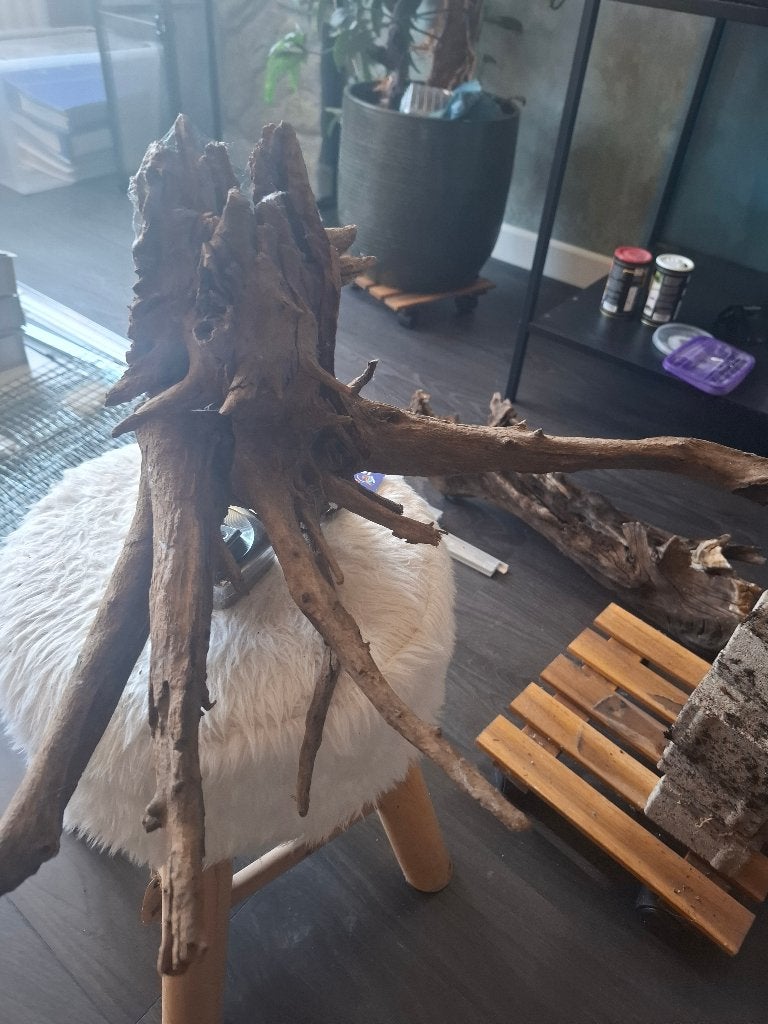 Nieuw stuk kien hout, Ophalen, Nieuw