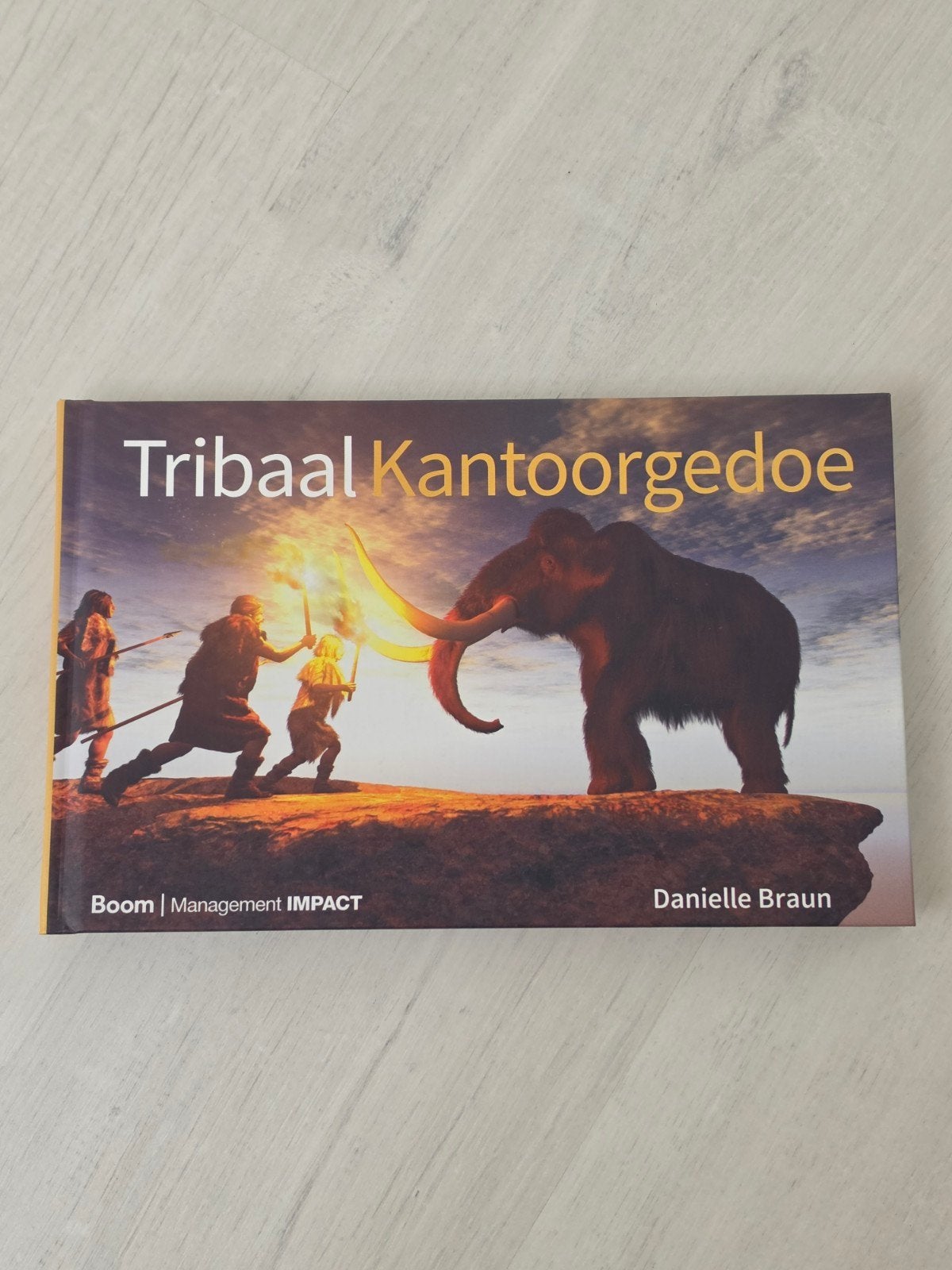 Tribaal kantoorgedoe - Daniëlle Braun, Ophalen of Verzenden, Nieuw, Management, Danielle Braun