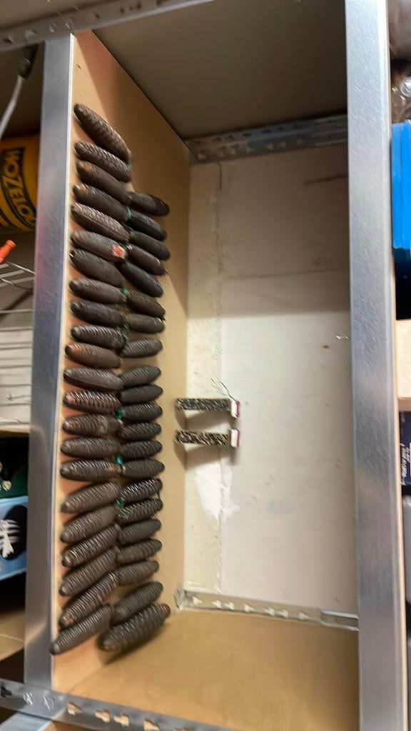 42 Koekoeksklok gewichten van 420 gram 1 gewicht van 700 gr, Ophalen