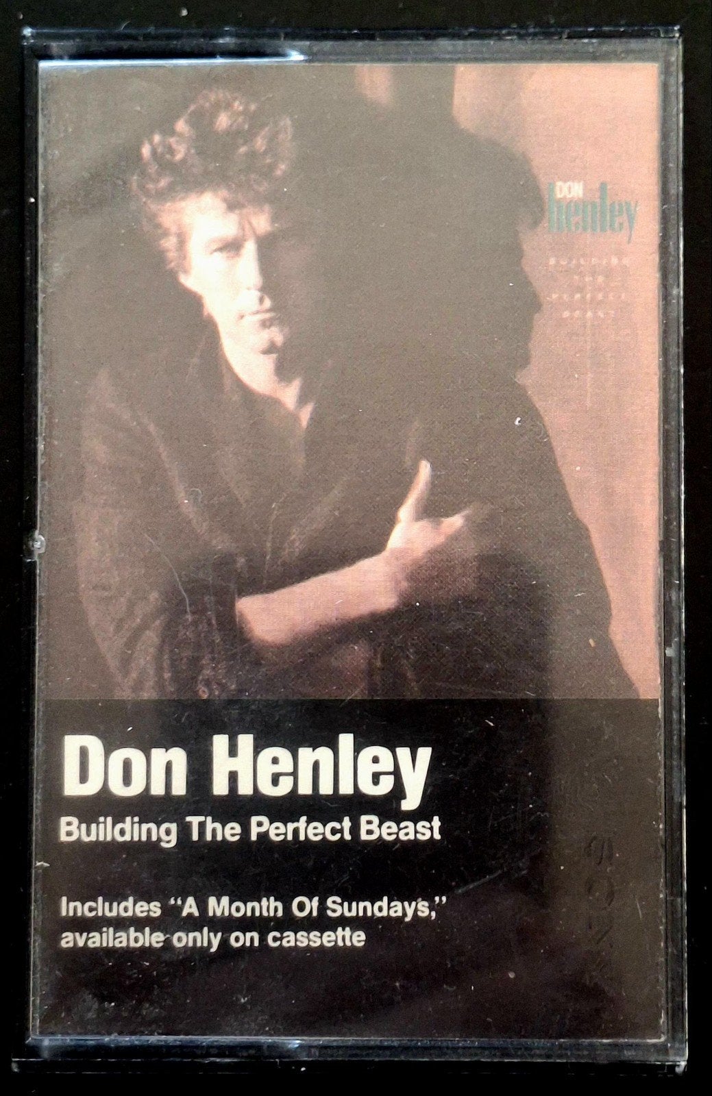 CASSETTE  DON HENLEY (Eagles) - Building The Perfect Beast, Verzenden, Gebruikt, 1 bandje