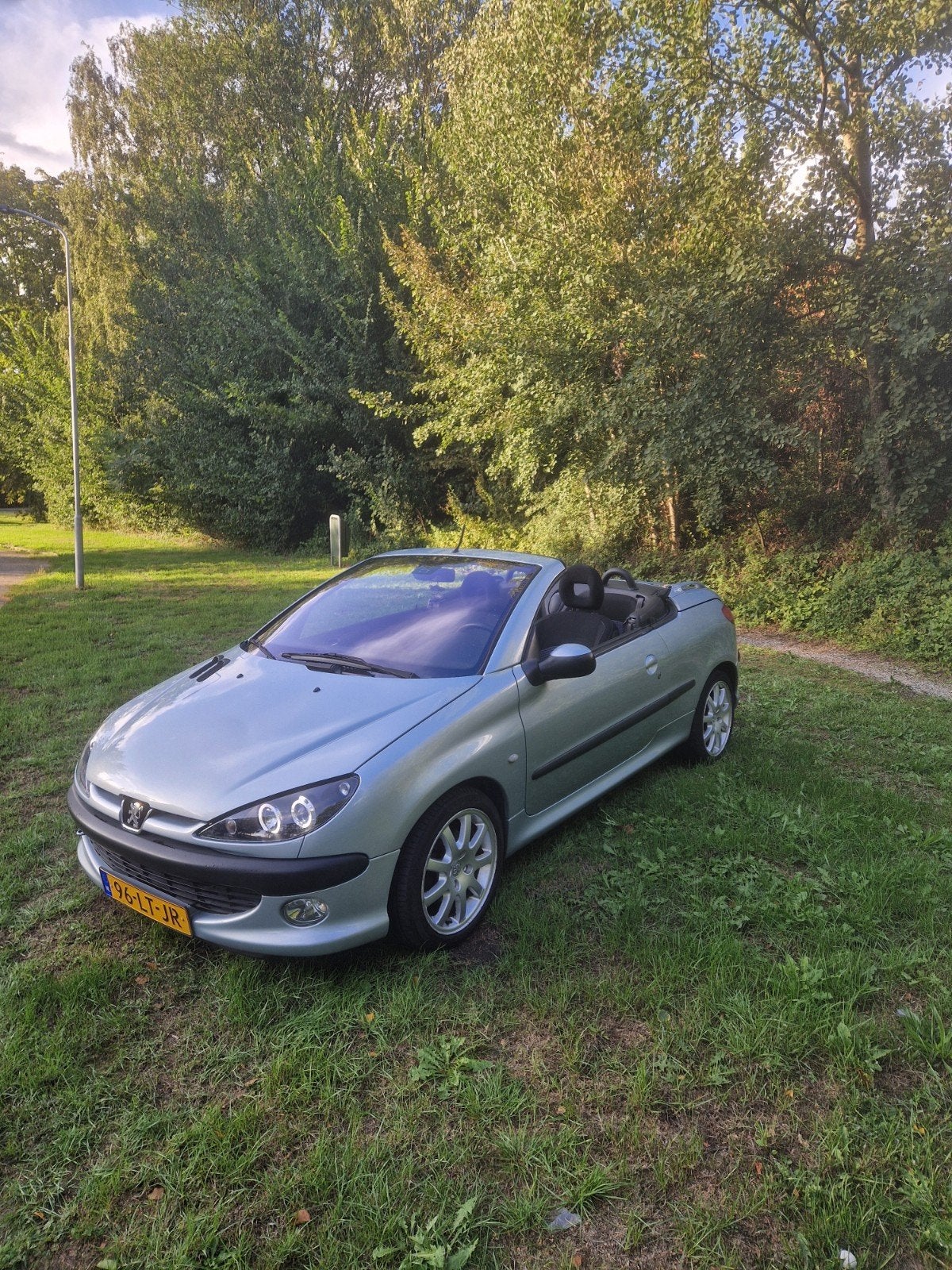 Peugeot 206 2.0 16V CC 2003 Grijs, Elektrische ramen, 4 cilinders, Cabriolet, 4 stoelen