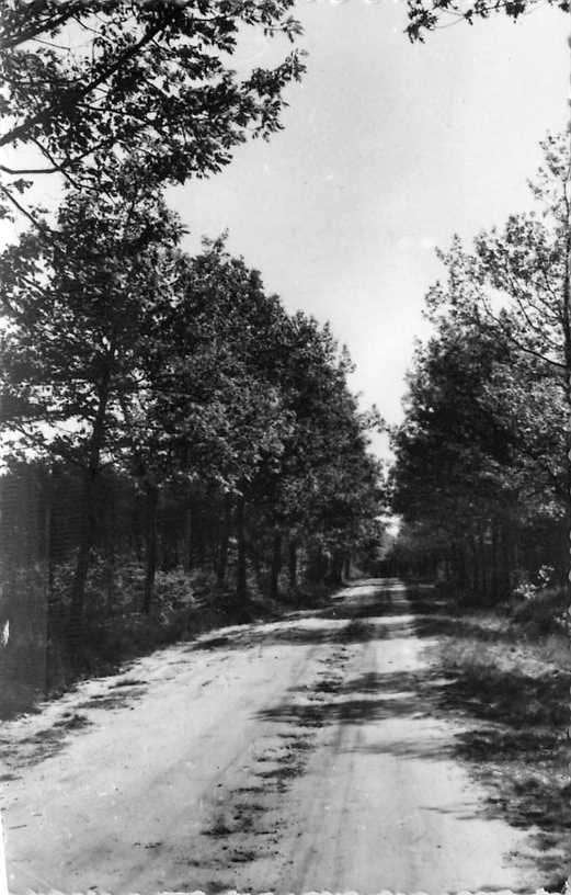 380-877-015 Vessem Bospad, Verzenden, Voor 1920, Noord-Brabant