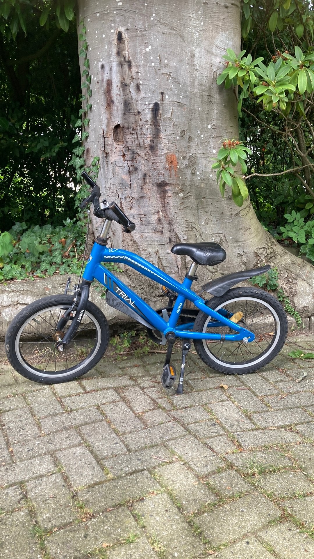 Alpina Trial 16”, Ophalen, Terugtraprem, Staal, 16 tot 20 inch