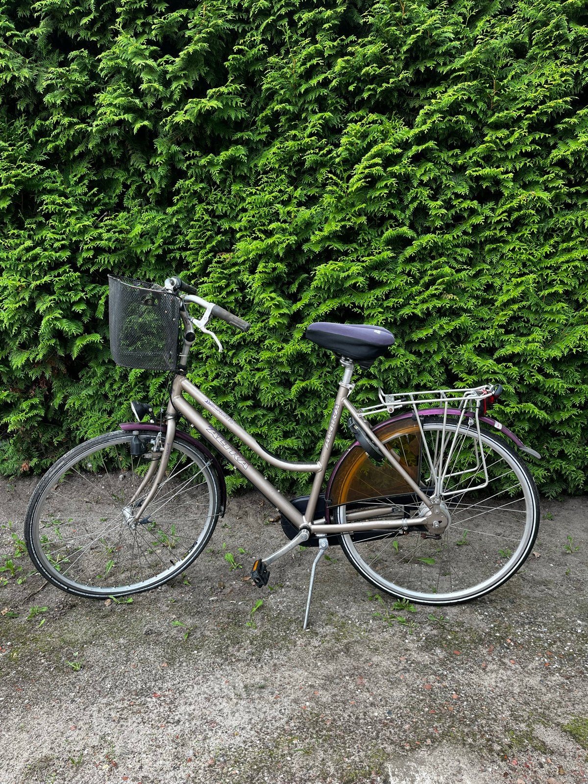 damesfiets met mandje en bagagedrager, Velgrem, Ophalen of Verzenden, Gazelle, 53 tot 56 cm