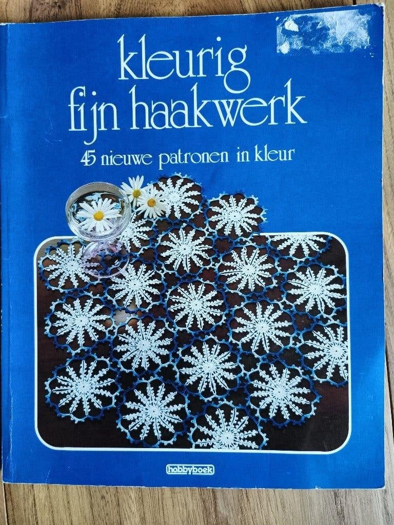 Kleurig Fijn Haakwerk  45 Nieuwe Patronen in Kleur, Boeken, Breien en Haken, Ophalen of Verzenden, Zo goed als nieuw, Hobbyboek