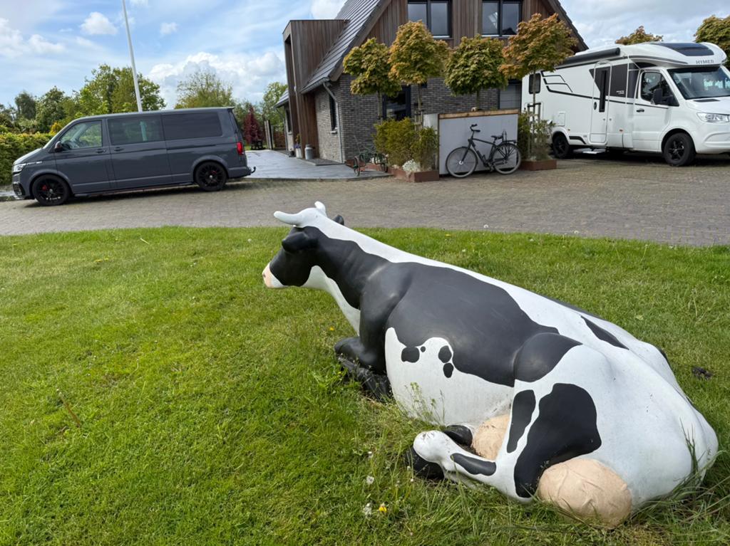 nep koe baukje levenechte decoratie koe beeld, Vrouwelijk