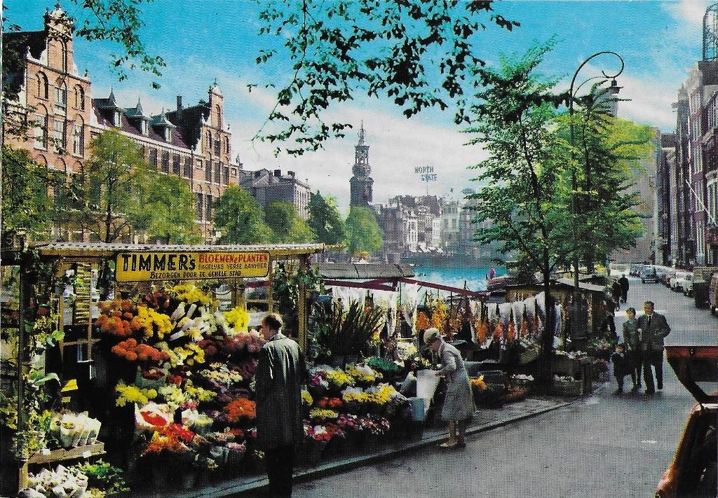 Z1 ansichtkaart Amsterdam Timmers bloemen en planten, Ophalen of Verzenden, 1980 tot heden, Gelopen, Noord-Holland