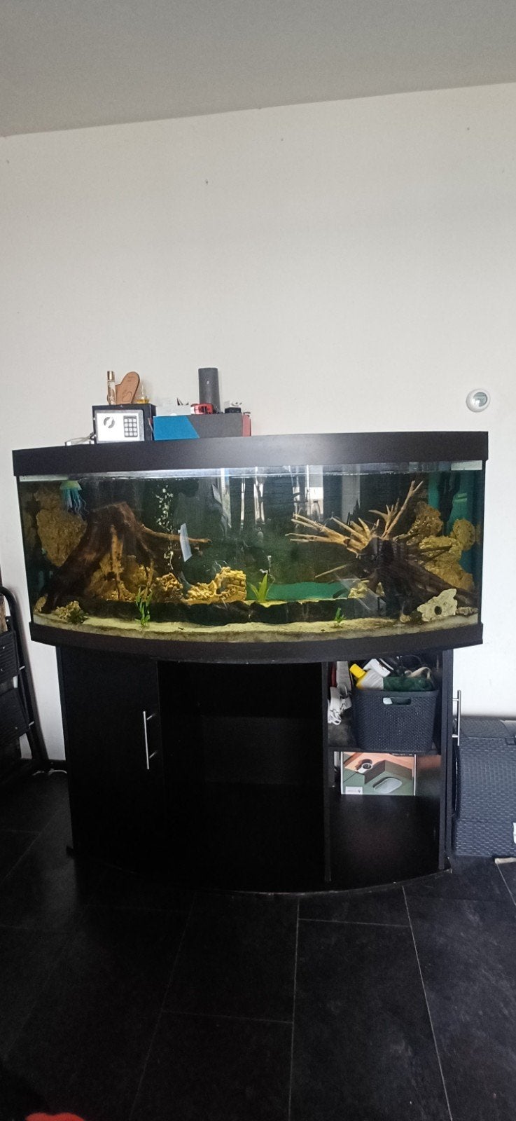 juwel vision 450., Dieren en Toebehoren, Gebruikt, Inclusief deksel, Overige typen, Ophalen of Verzenden
