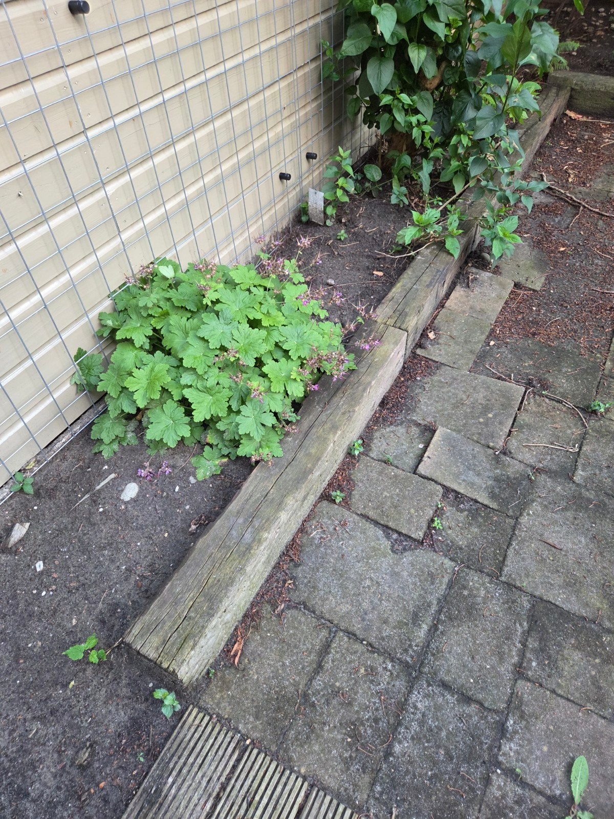 Houten balken voor tuin of border, Tuin en Terras, Ophalen, Gebruikt, 180 tot 250 cm, Balken