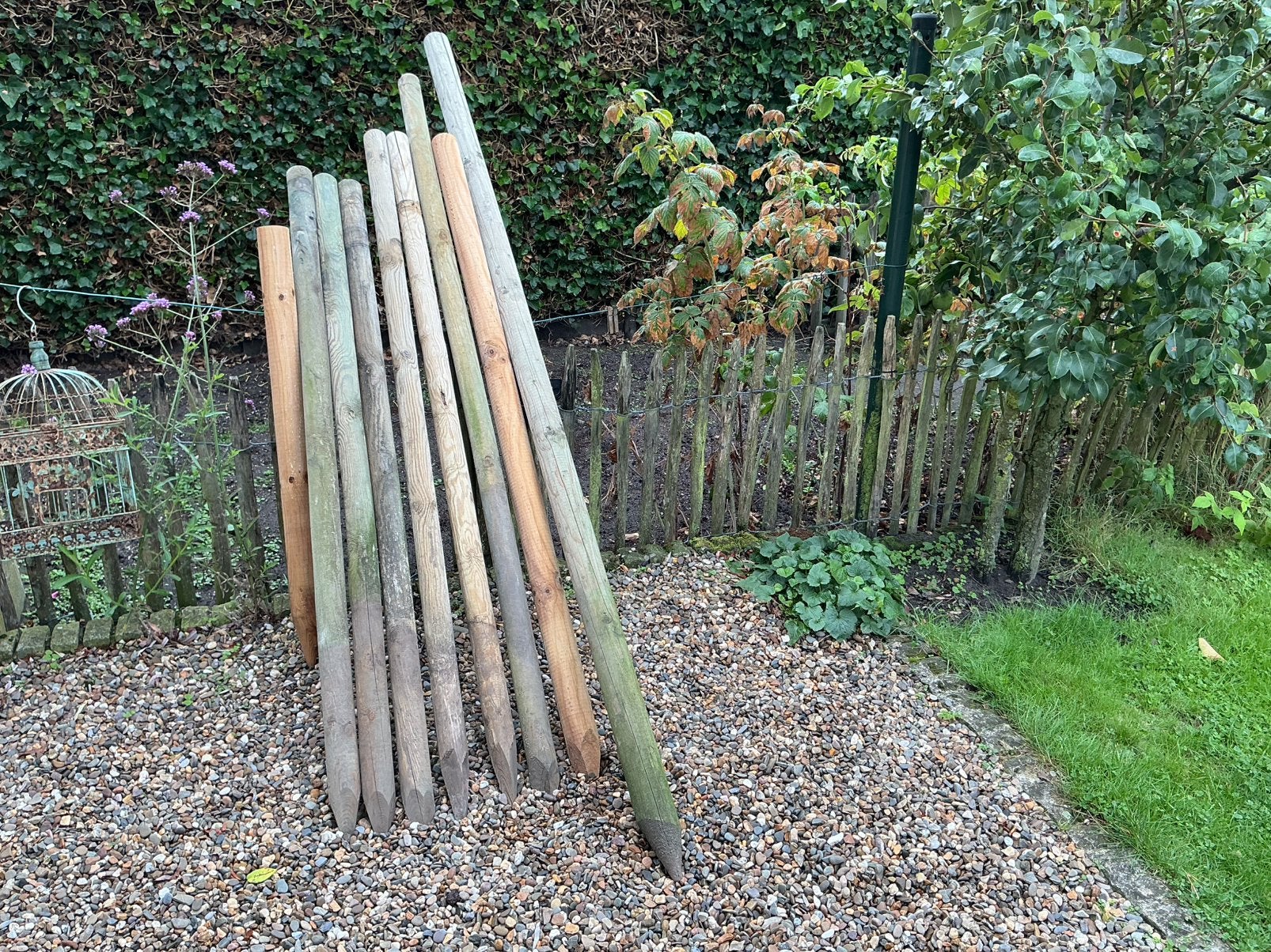 Boompalen gebruikt niet rot, Tuin en Terras, Ophalen, Zo goed als nieuw, Minder dan 180 cm, Palen