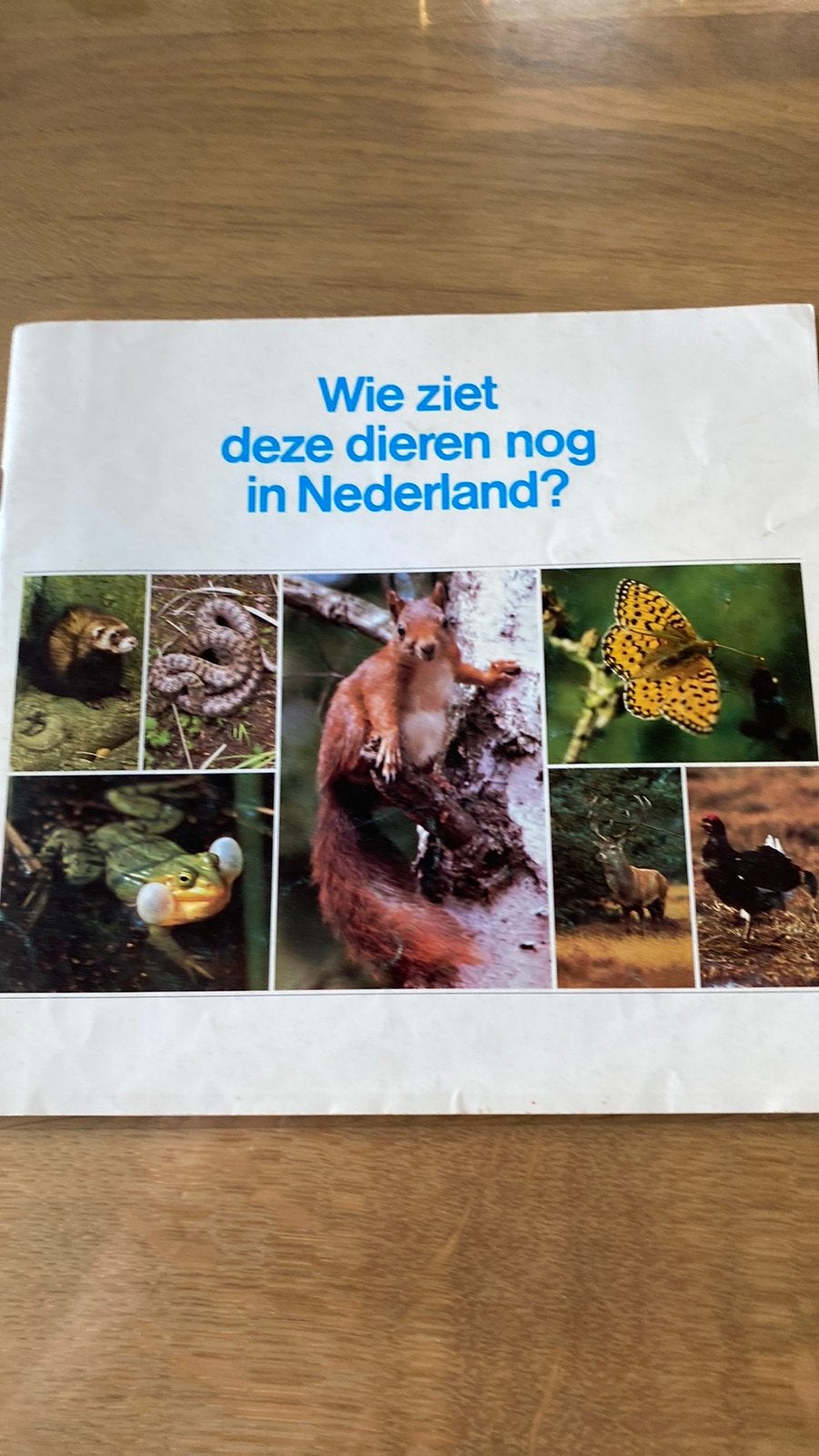 wie ziet deze dieren nog in Nederland, Ophalen of Verzenden, Zo goed als nieuw