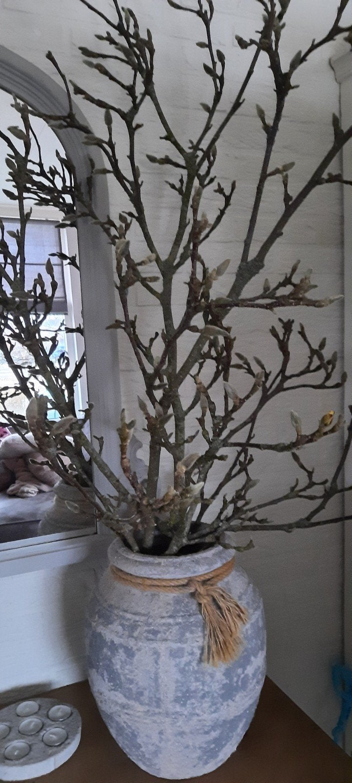 grote bos gedroogde magnolia takken sober landelijk, Ophalen, Nieuw