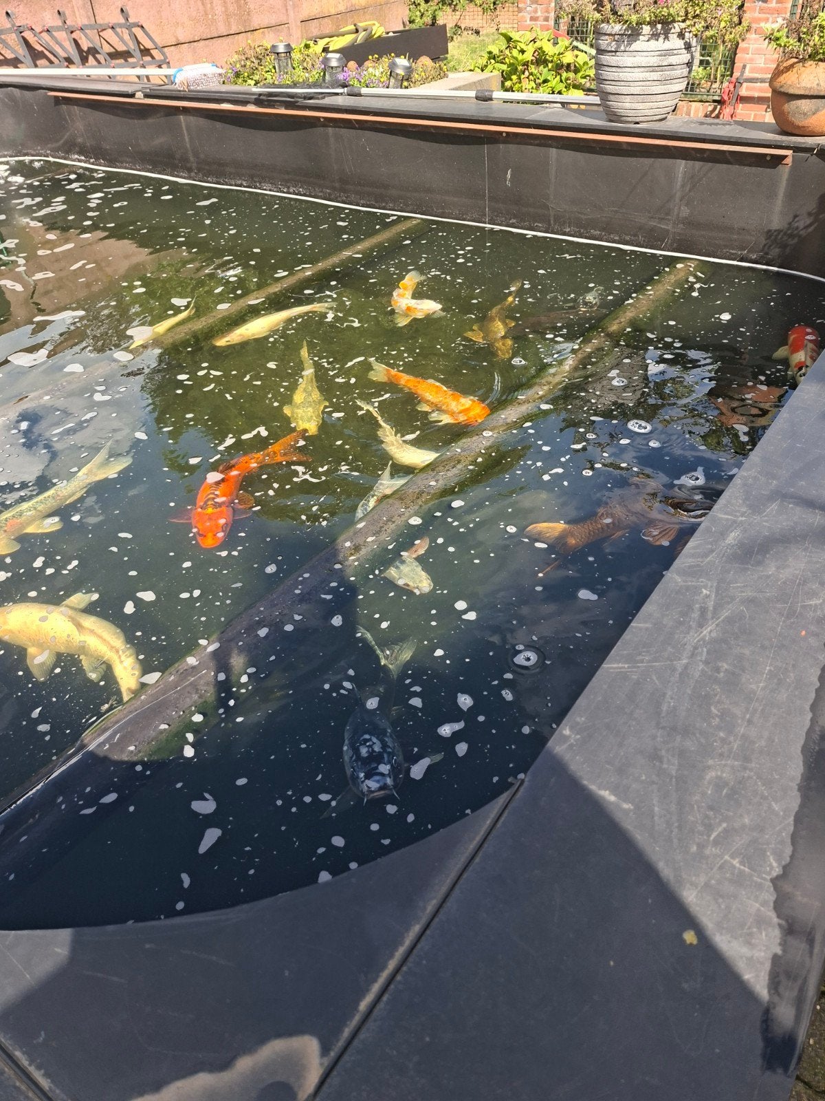 mooie kunststof pe vijverbak compleet, Tuin en Terras, Ophalen of Verzenden