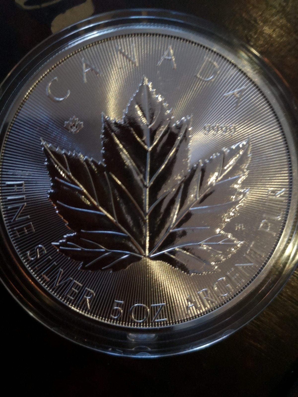 5 oz Maple Leaf uit 2026 munt zilver 99,9  360,- met verz, Postzegels en Munten, Ophalen of Verzenden, Noord-Amerika, Losse munt