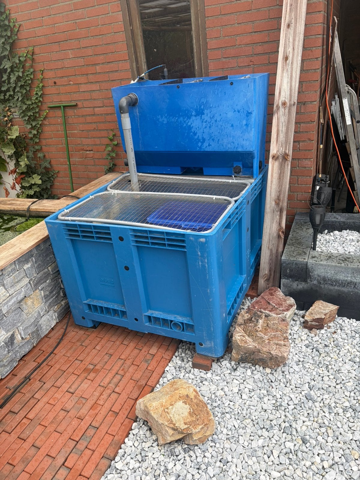 Quarantaine bak 600 liter!!, Karper of Koi