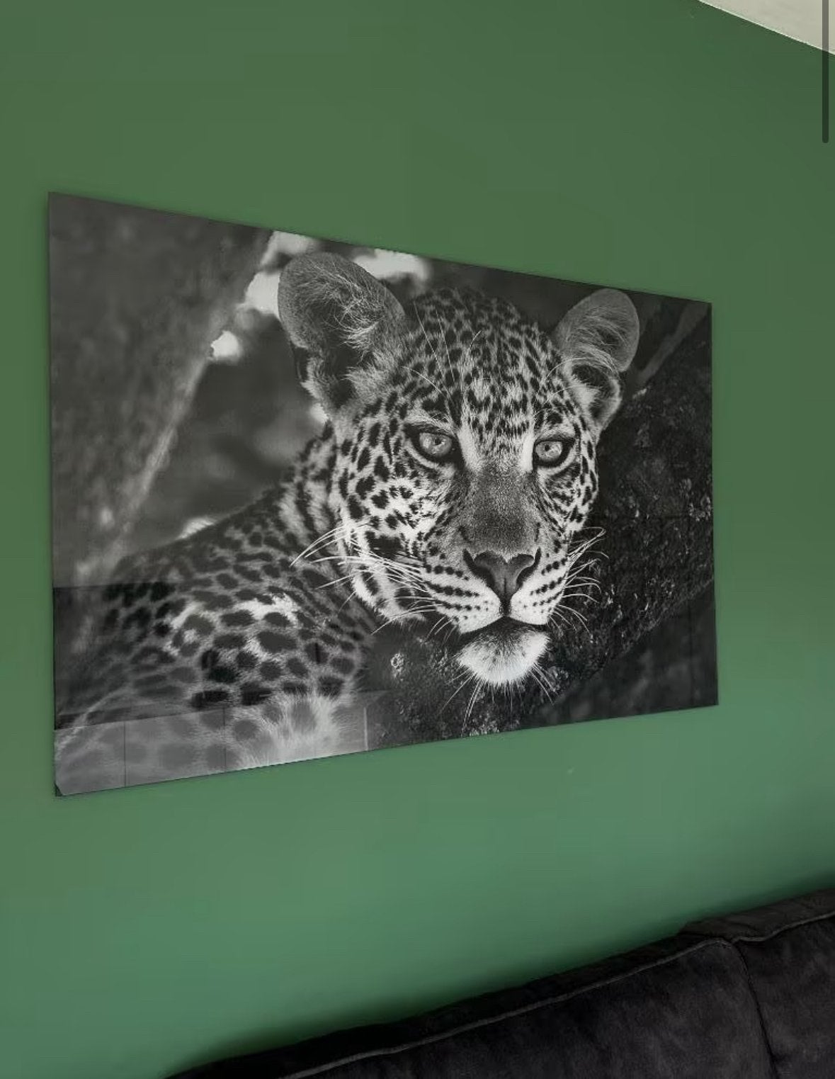 Plexiglas schilderij cheetah 120x80, Huis en Inrichting, Woonaccessoires | Schilderijen, Tekeningen en Foto's, Ophalen, Zo goed als nieuw