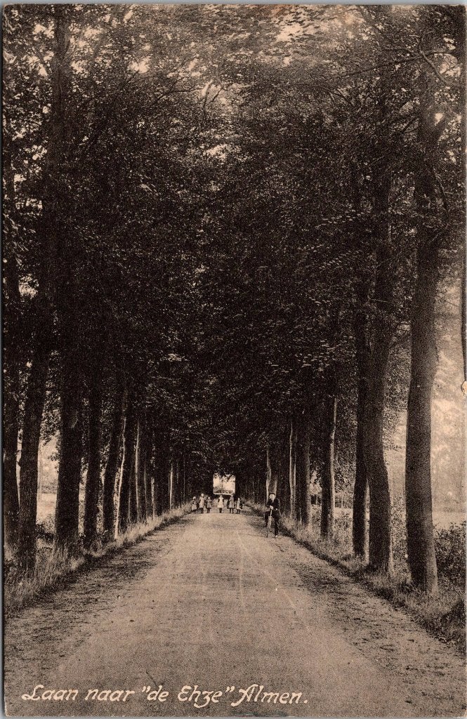 Almen - 12 oude ansichtkaarten, Ophalen of Verzenden, Voor 1920, Gelopen, Gelderland