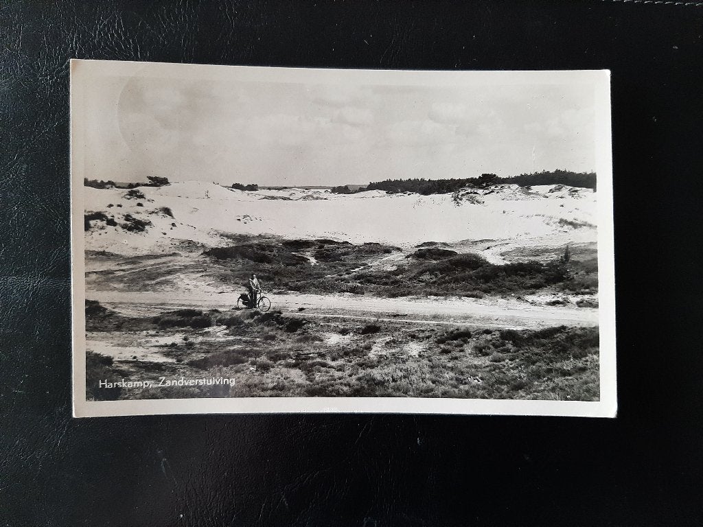 Harskamp, Zandverstuiving, gelopen, 1950, fotokaart,, Verzenden, 1940 tot 1960, Gelopen, Gelderland