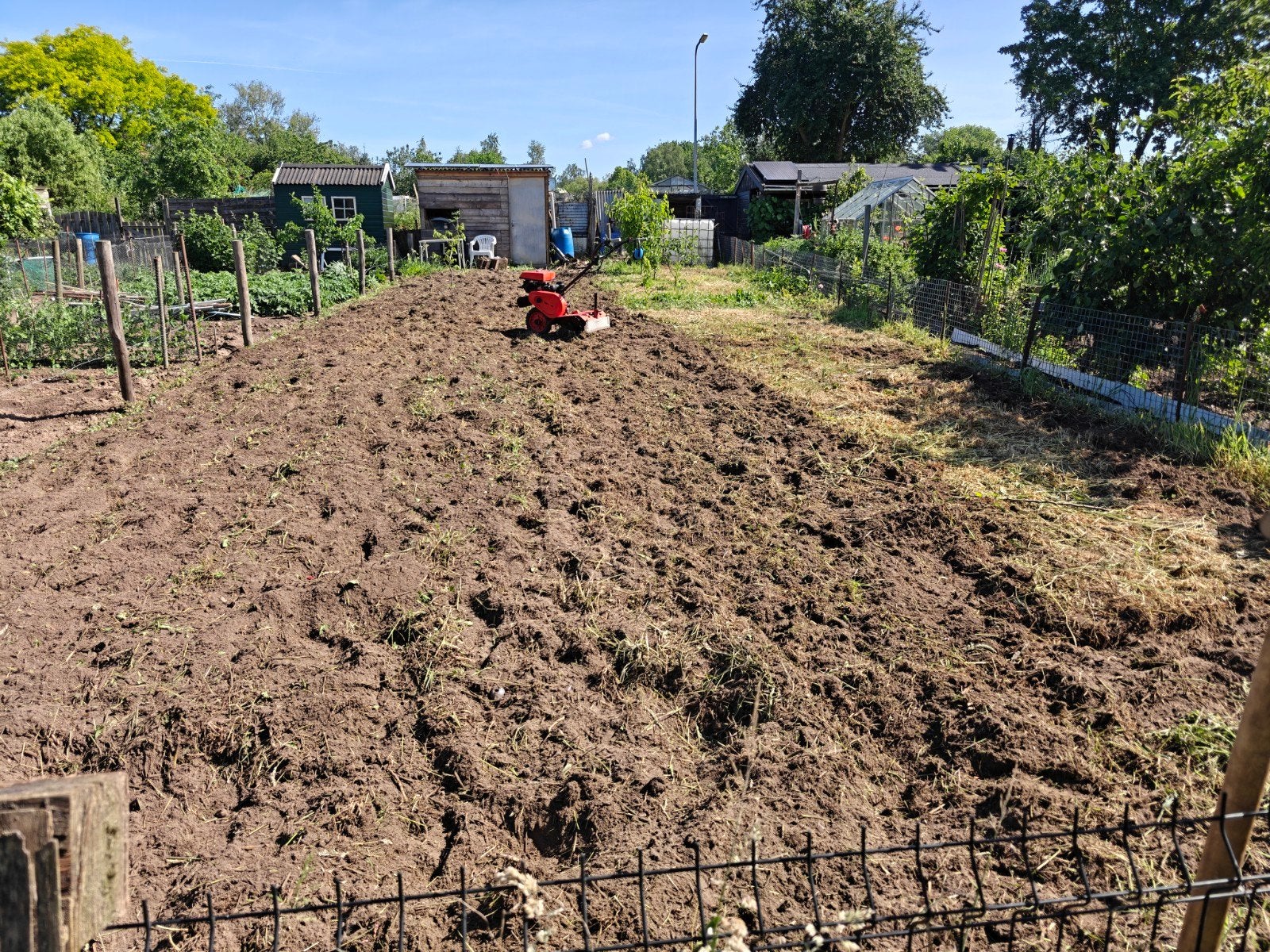 Frezen tuin of moestuin, Ophalen, Nieuw