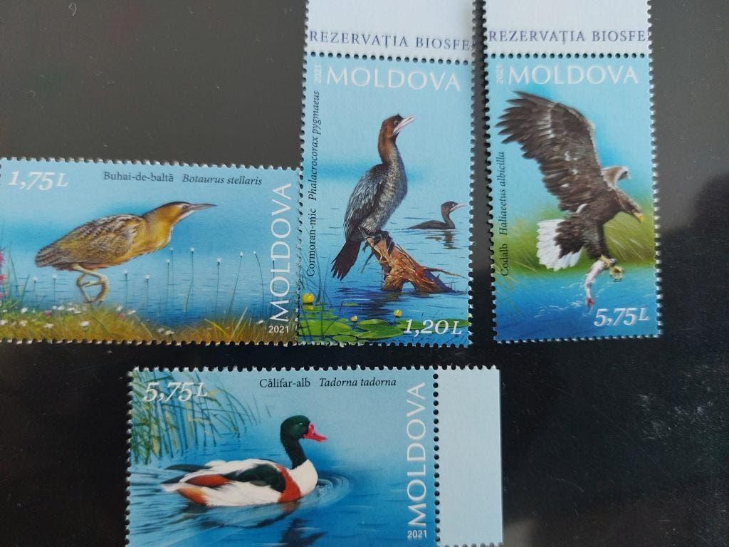 Vogels  Moldavie, Verzenden, Postfris, Dier of Natuur