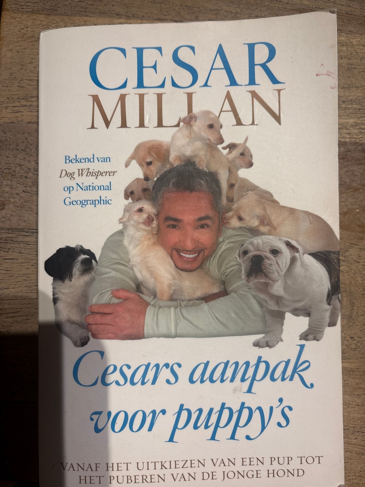 Cesar Millan: Cesars aanpak voor puppy's, Ophalen of Verzenden, Gelezen, Honden
