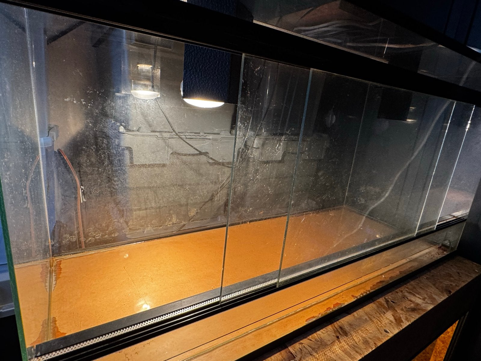 Gebruikte OSB 3 & Glas terrarium te koop. Lees beschrijving, Dieren en Toebehoren, Ophalen, Gebruikt, Terrarium of Paludarium