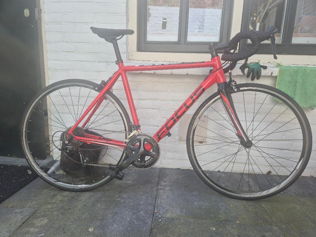 Focus Cayo 54, Overige merken, 28 inch, Velgrem, Ophalen of Verzenden