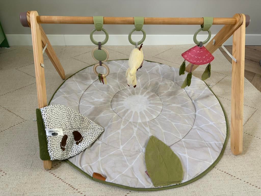 Babygym met speelkleed Tiny Love, Kinderen en Baby's, Speelgoed | Babyspeelgoed, Ophalen, Zo goed als nieuw, Babygym