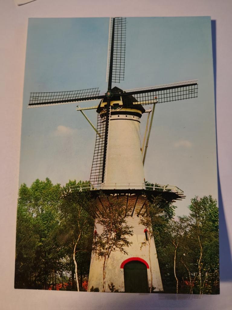 Tholen, Ophalen of Verzenden, 1940 tot 1960, Gelderland