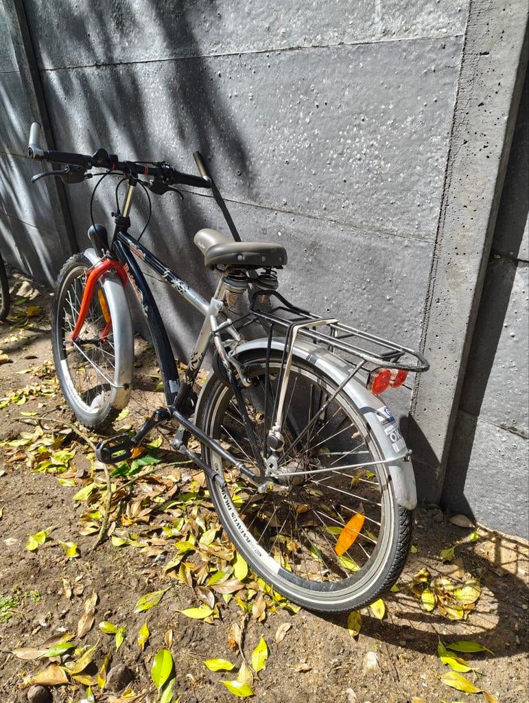 Batavus Dragon kinderfiets, Ophalen, 20 inch of meer, Gebruikt, Velgrem