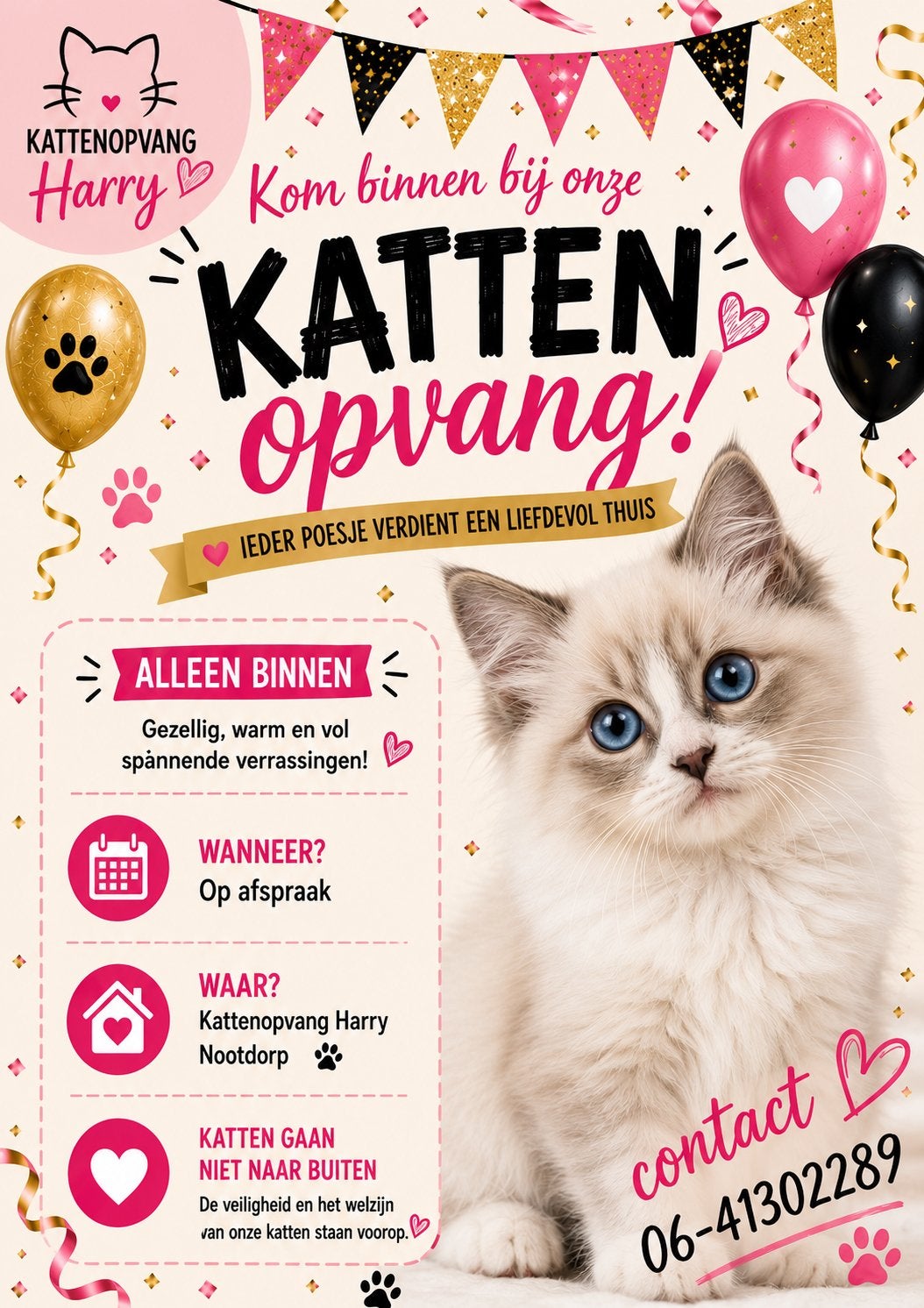 Kattenoppas, Ophalen of Verzenden, Nieuw