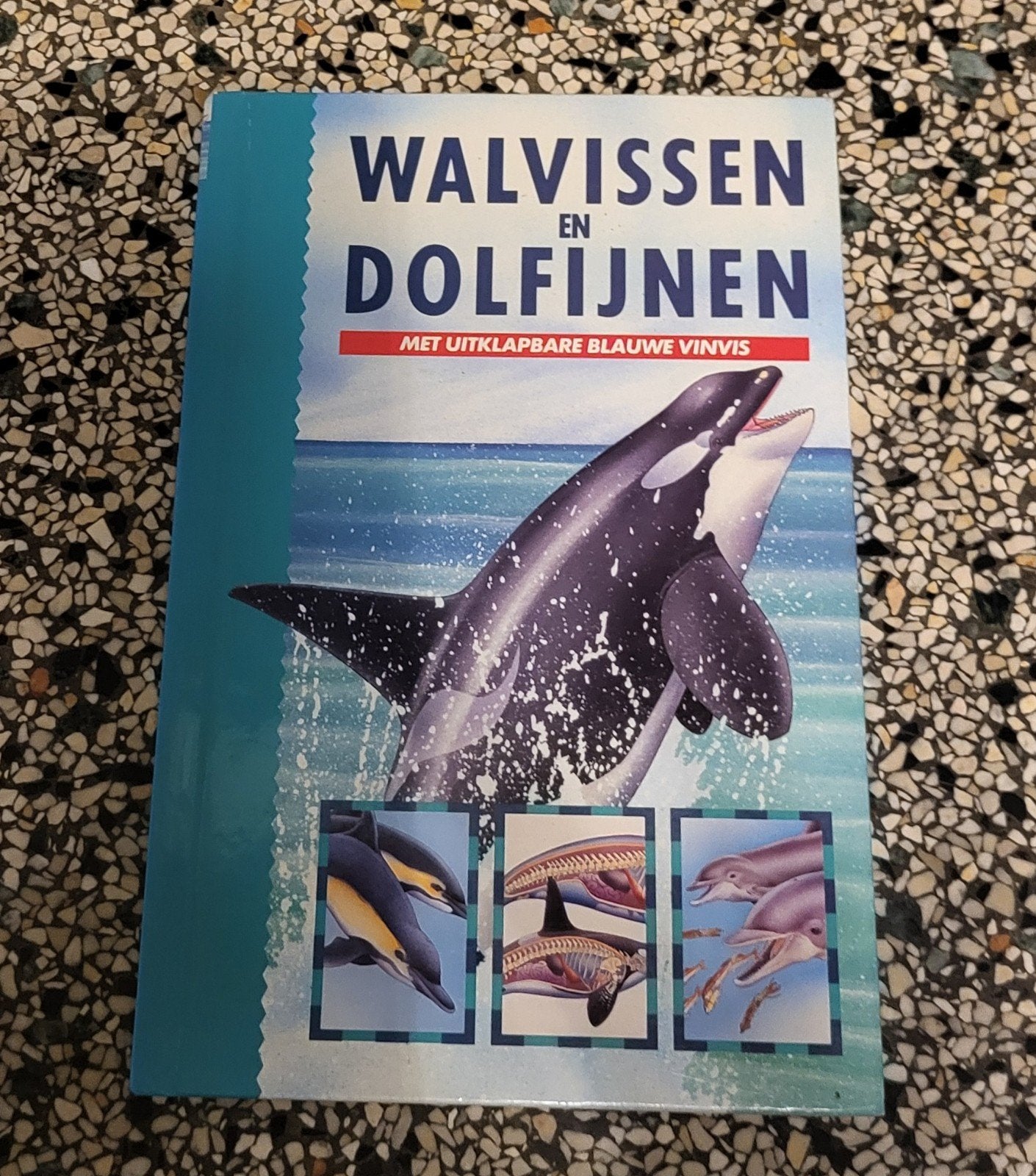 Walvissen en dolfijnen, Ophalen of Verzenden, Gelezen, Overige diersoorten