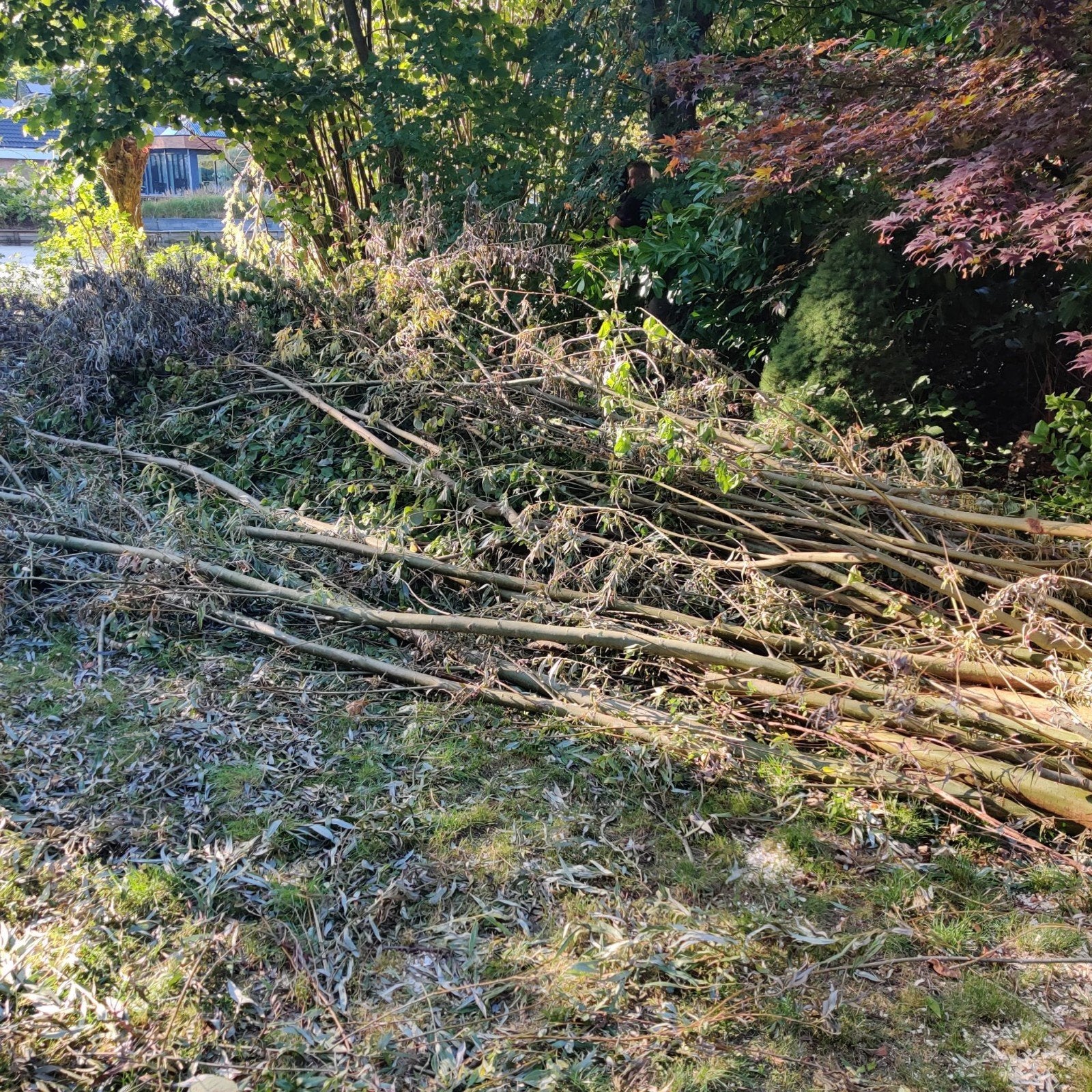 snoeiwerk afhalen, Tuin en Terras, Minder dan 3 m³, Ophalen
