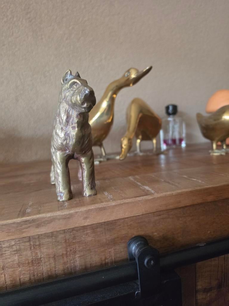 Vintage Koperen Bouvier Hond Beeldje, Ophalen of Verzenden