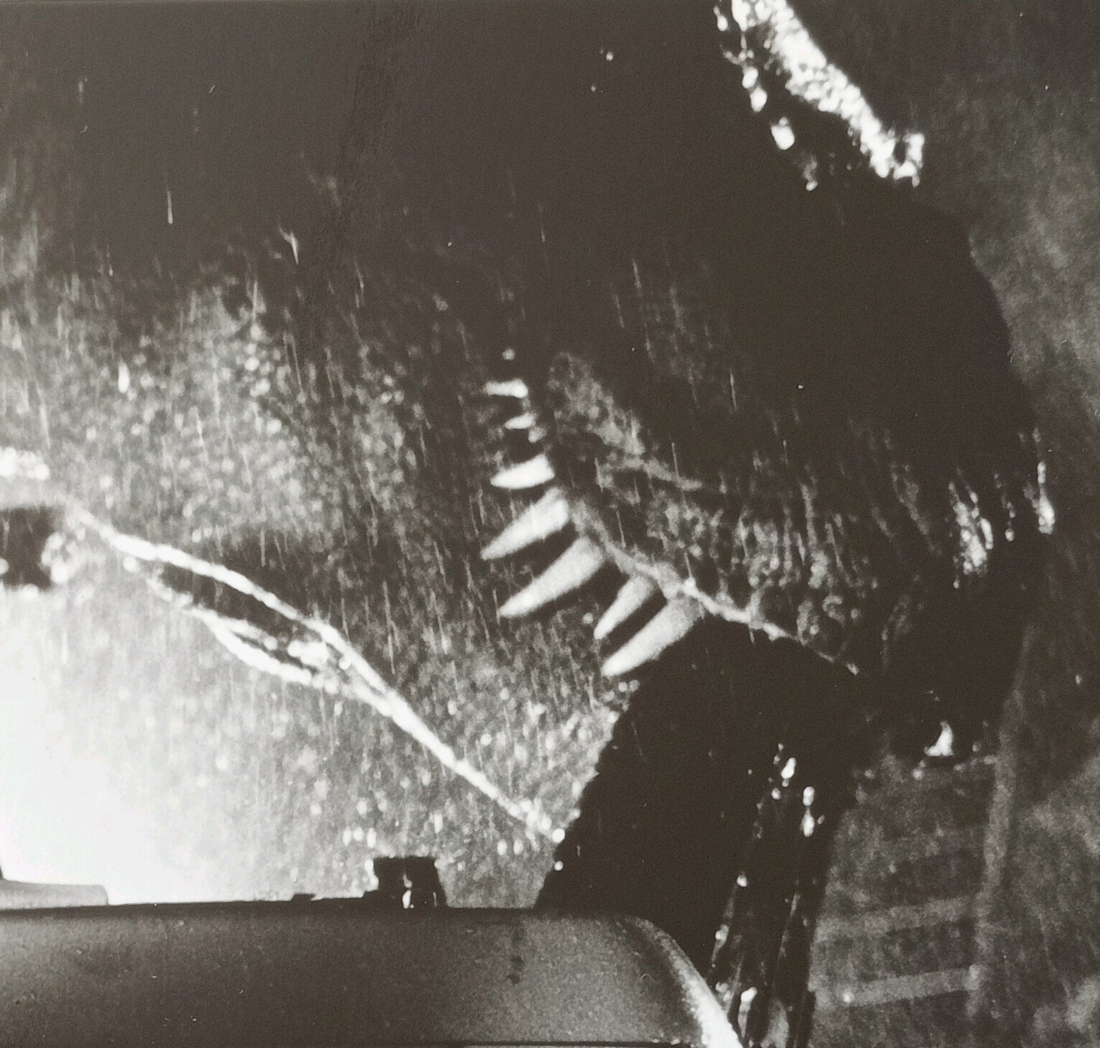 Jurassic Park Filmfoto 1993, Verzamelen, ., Ophalen of Verzenden, Zo goed als nieuw, Foto of Kaart