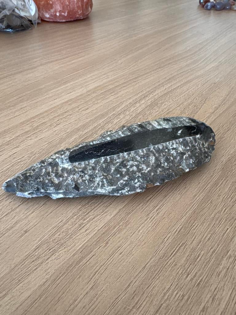 Orthoceras fossiel ruw/gepolijst - Uniek stuk, Ophalen of Verzenden, Fossiel